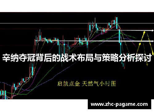 辛纳夺冠背后的战术布局与策略分析探讨