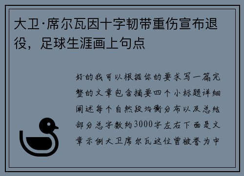 大卫·席尔瓦因十字韧带重伤宣布退役，足球生涯画上句点